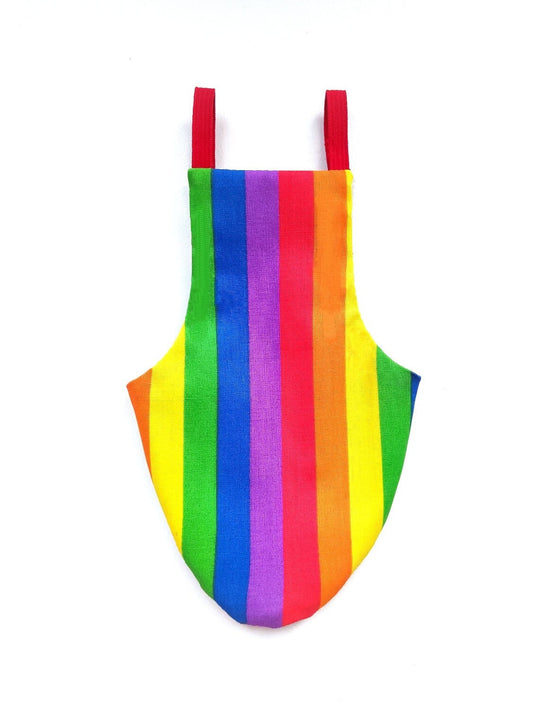 Pigeon Pants Flyper Flightsuit Bird Harness - Rainbow Flag Pride