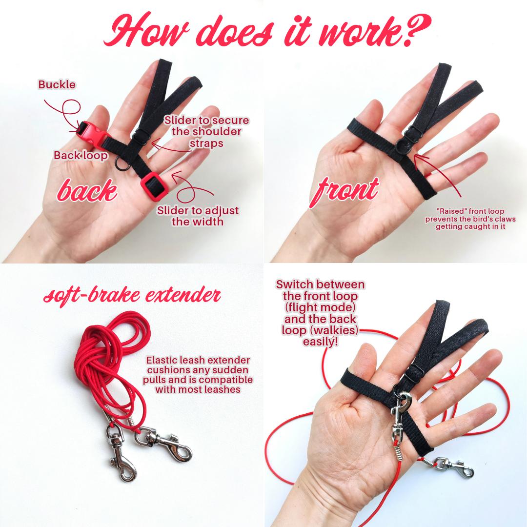 Pigeon Harness "Sophie" - Bird Flight Harness with Soft-brake Leash Extender - Classic Black and Red