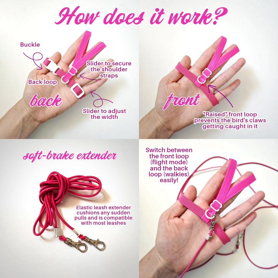 Pigeon Harness "Sophie" - Bird Flight Harness with Soft-brake Leash Extender - Hot Pink and White
