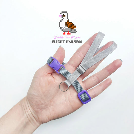 Pigeon Harness "Sophie" - Bird Flight Harness with Soft-brake Leash Extender - Pigeon Grey and Purple