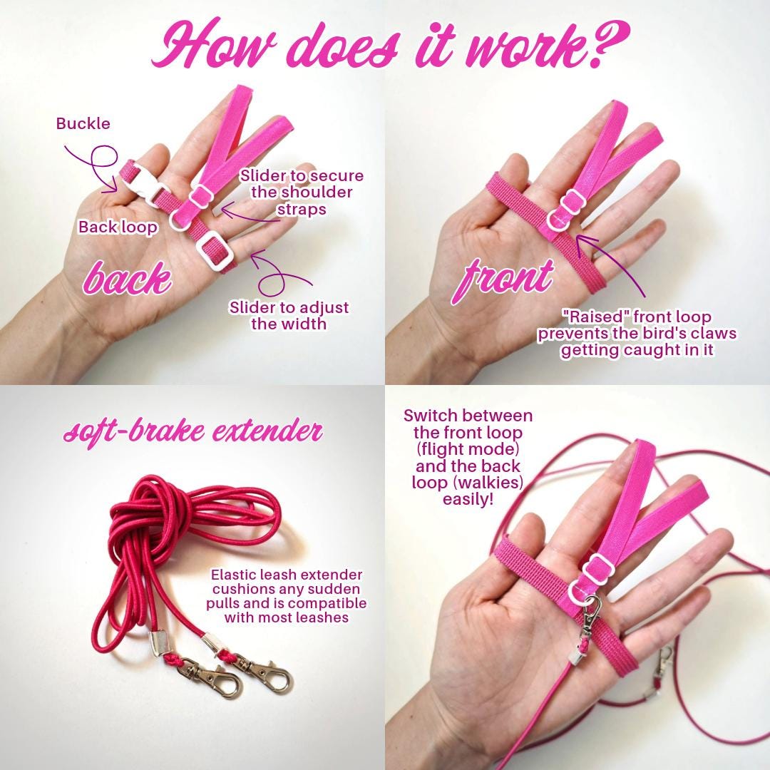 Pigeon Harness "Sophie" - Bird Flight Harness with Soft-brake Leash Extender - Baby Pink