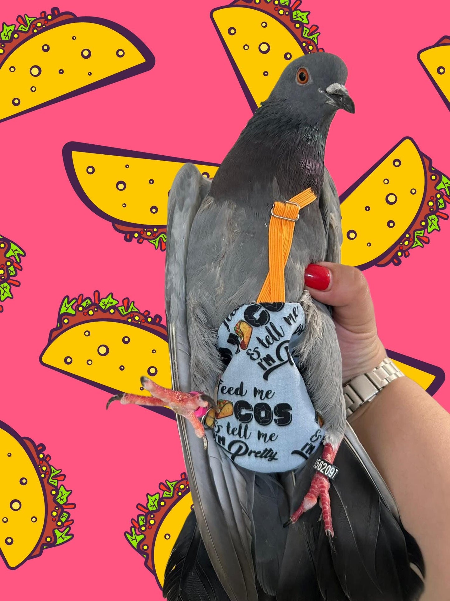 Pigeon Pants Flyper Bird Diaper Flightsuit - Feed Me Tacos and Tell Me I'm Pretty