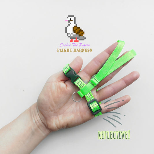 Pigeon Harness "Sophie" - Reflective Bird Flight Harness with Soft-brake Leash Extender - Safety Green