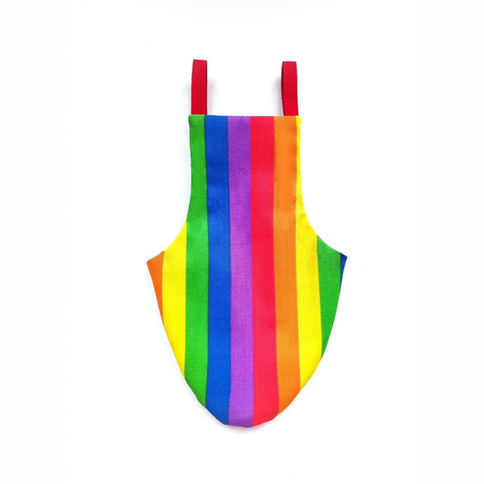 Pigeon Pants Flyper Flightsuit Bird Harness - Rainbow Flag Pride