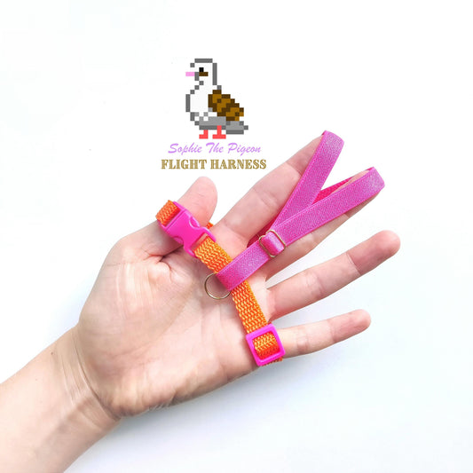 Pigeon Harness "Sophie" - Bird Flight Harness with Soft-brake Leash Extender - Disco Orange and Pink