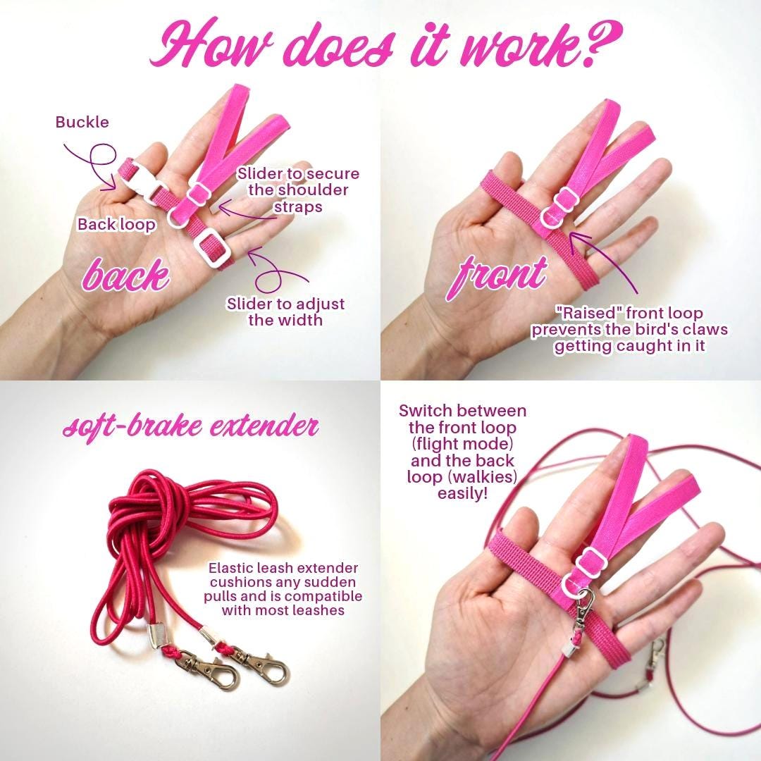 Pigeon Harness "Sophie" - Reflective Bird Flight Harness with Soft-brake Leash Extender - Safety Green and Khaki