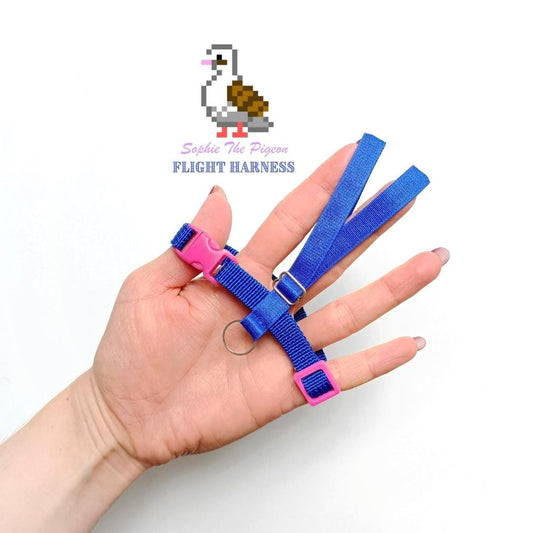 Pigeon Flight Harness with Soft-brake Leash Extender - Electric Blue and Fuschia