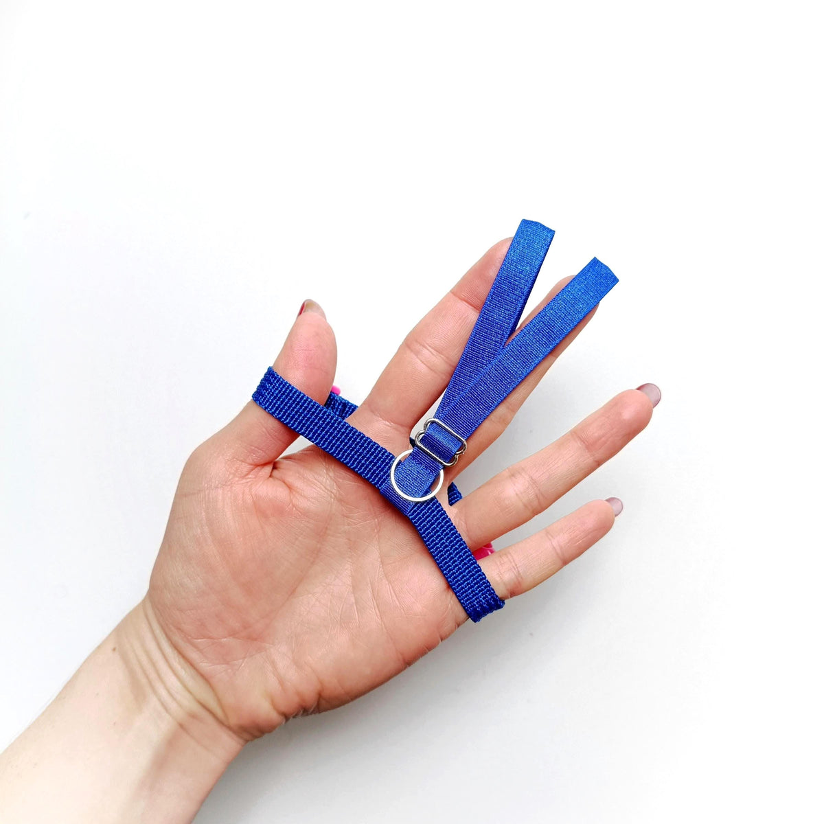 Pigeon Flight Harness with Soft-brake Leash Extender - Electric Blue and Fuschia